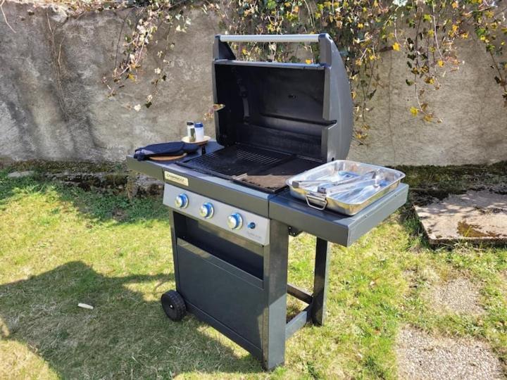 Gite Eglantine 2 A 6 Personnes Avec Spa Et Salle De Jeux Dans La Residence Вантрон Екстер'єр фото